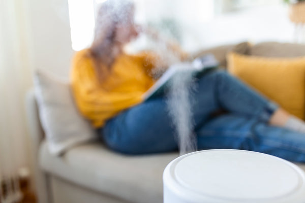 Puis-Je Utiliser Un Humidificateur À Vapeur Froide En Hiver ?