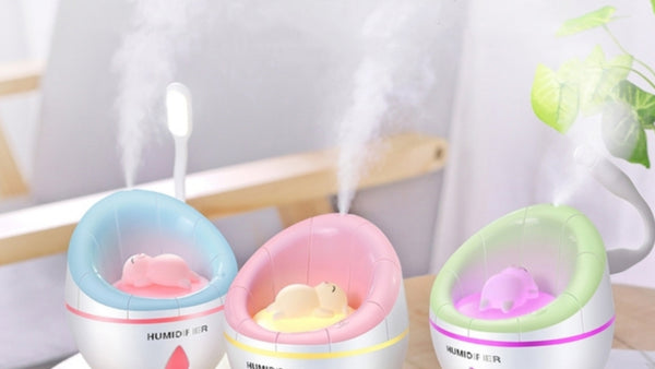 Quel Humidificateur d'Air Choisir ?